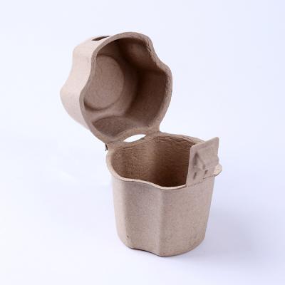 Eco-friendly Paper Pulp Molded Bottle Packaging Box