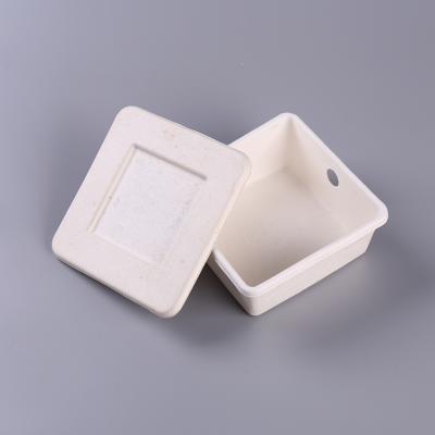 Pulp Molded Camera Inner Packaging