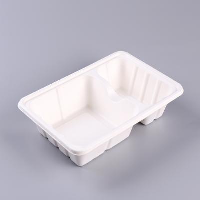 Bagasse Pulp Molded Customized 2 Compartment Food Container