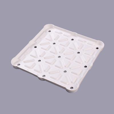 Biodegradable Pulp Mold Pizza Packaging Tray