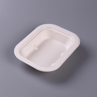 Customized Square Shape Biodegradable Food Plate Packaging