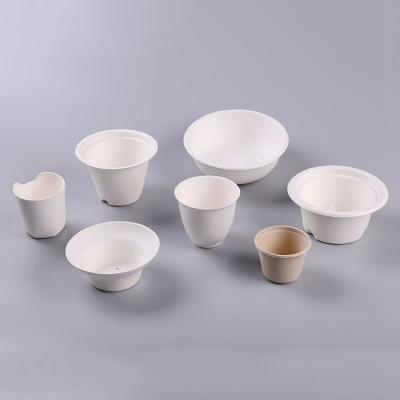 Pulp Mold  Biodegradable Food Packaging Bowl