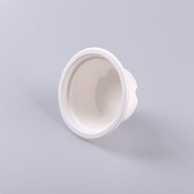Disposable Biodegradable Food Container 